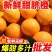 【5斤9斤新鲜脐橙】一件发货橙子甜橙子当季新鲜水果整