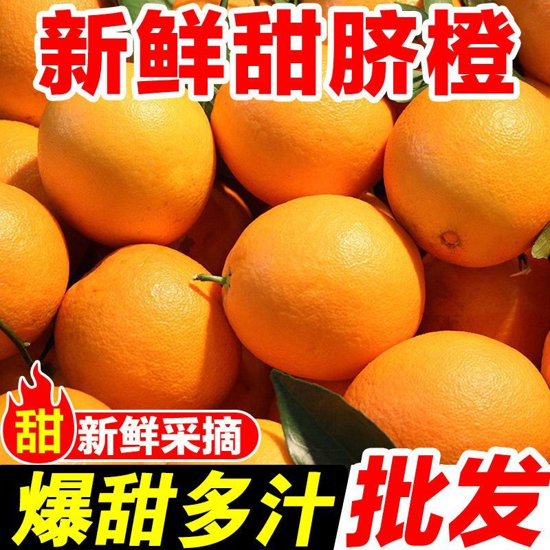 【5斤9斤新鲜脐橙】一件发货橙子甜橙子当季新鲜水果整
