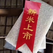 本人自产自销！纯五常稻花香2号大米，
