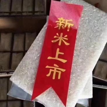本人自产自销！纯五常稻花香2号大米，