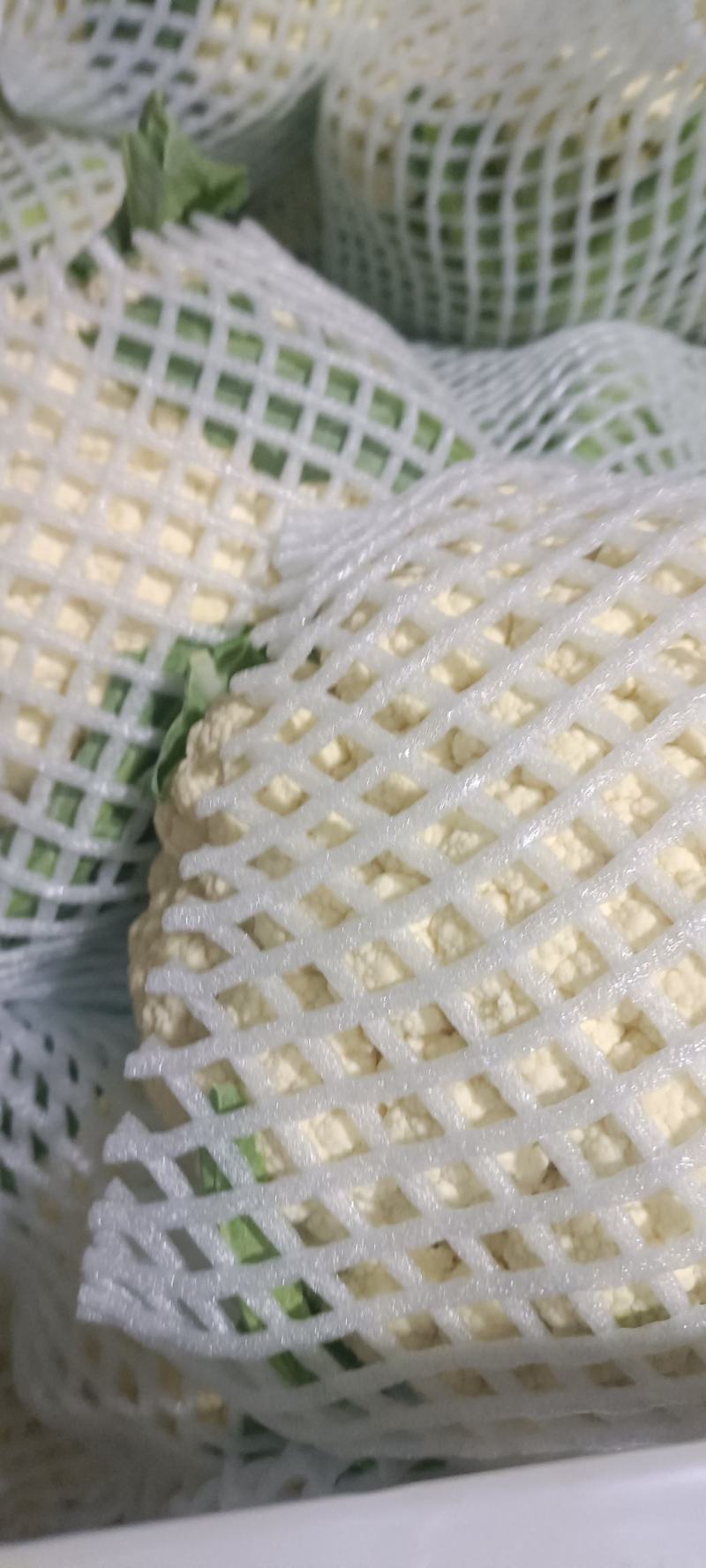 精品白面青梗有机花菜品质保证货源充足量大从优