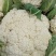 精品白面青梗有机花菜品质保证货源充足量大从优
