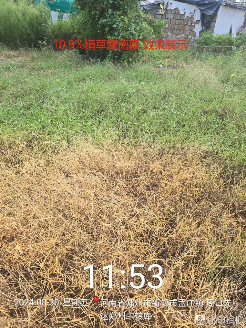 20％敌草快规格齐全厂家直销，杀草广谱不伤土壤安全性好。