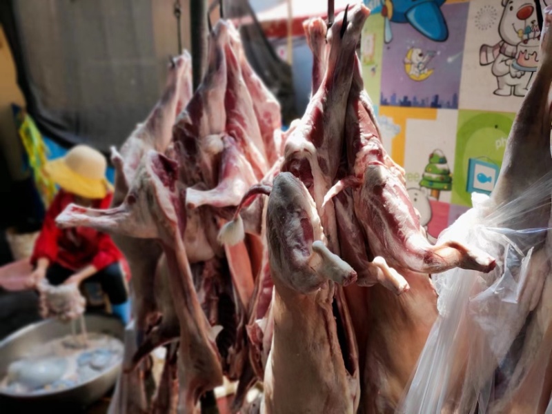 烤全羊全部精品每天现宰羊腔子保证纯干