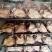一级乳鸽