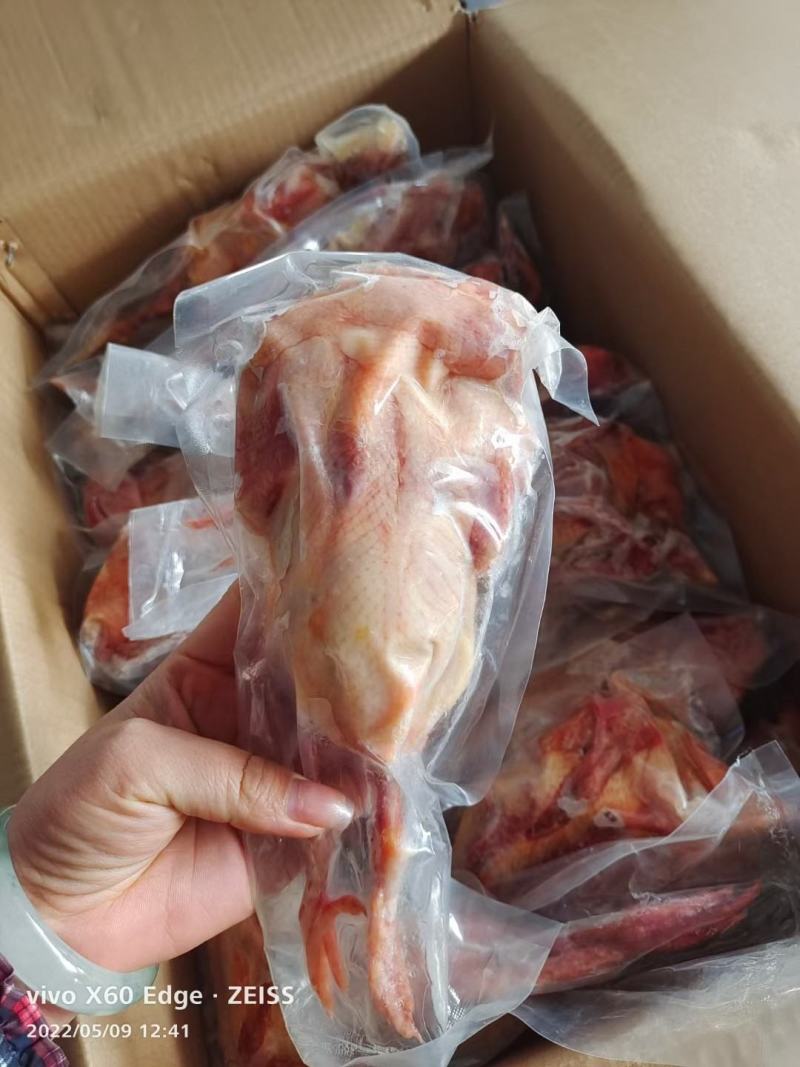 乳鸽山东腾惠更多客户的选择