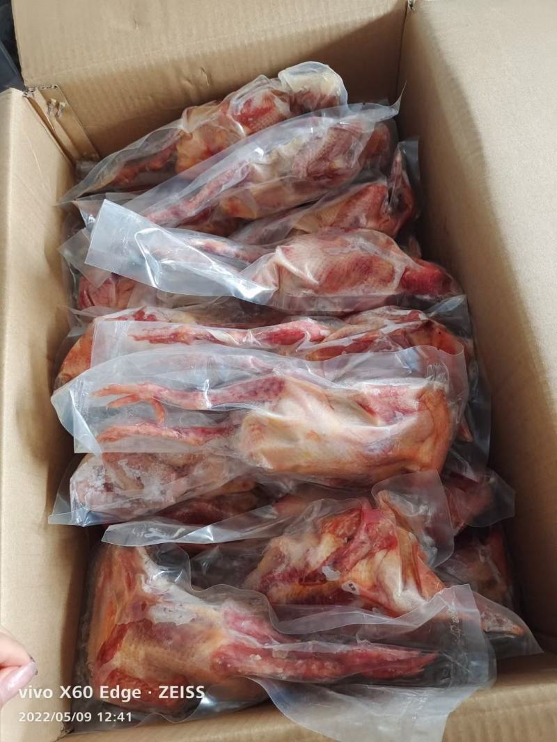 乳鸽山东腾惠更多客户的选择