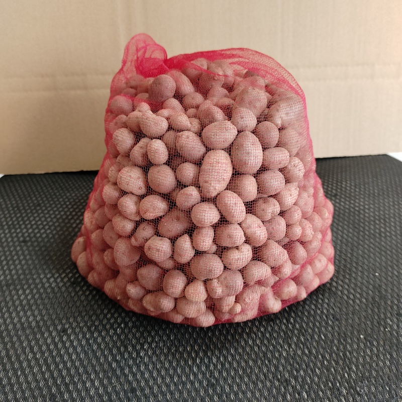 山药豆糖葫芦专用1.6厘米以上特大号山药豆白玉山药豆种子