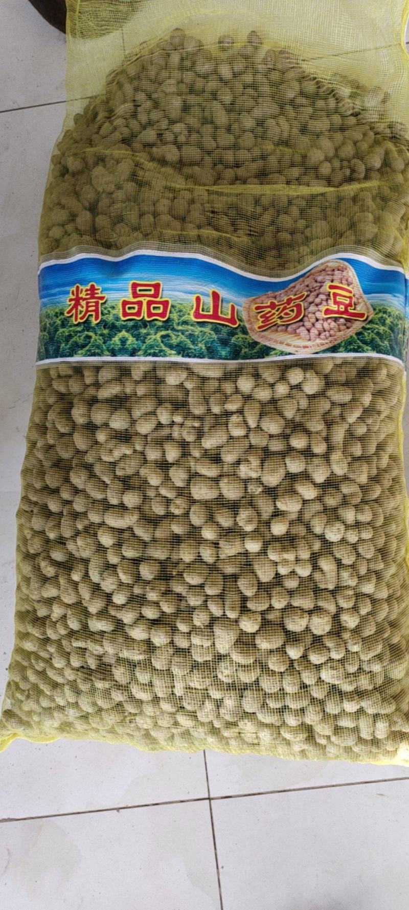 山药豆糖葫芦专用1.6厘米以上特大号山药豆白玉山药豆种子