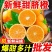 脐橙【5斤新鲜脐橙】一件发货橙子甜橙子当季新鲜水