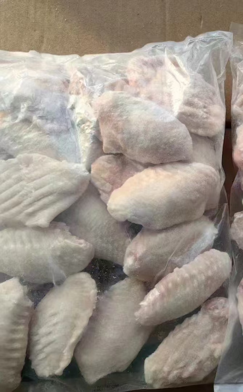 纯干翅中量大从优全国发货