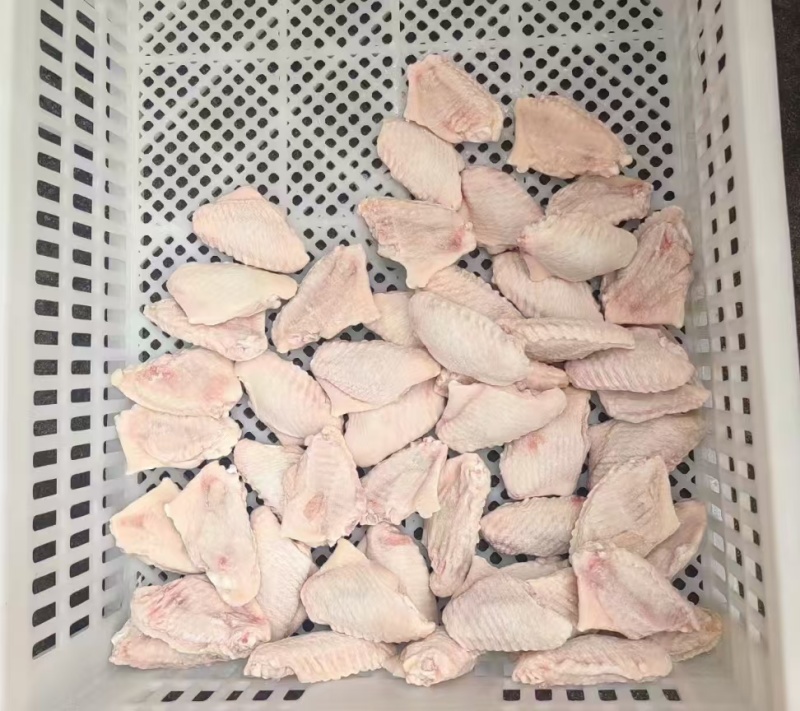 纯干翅中量大从优全国发货