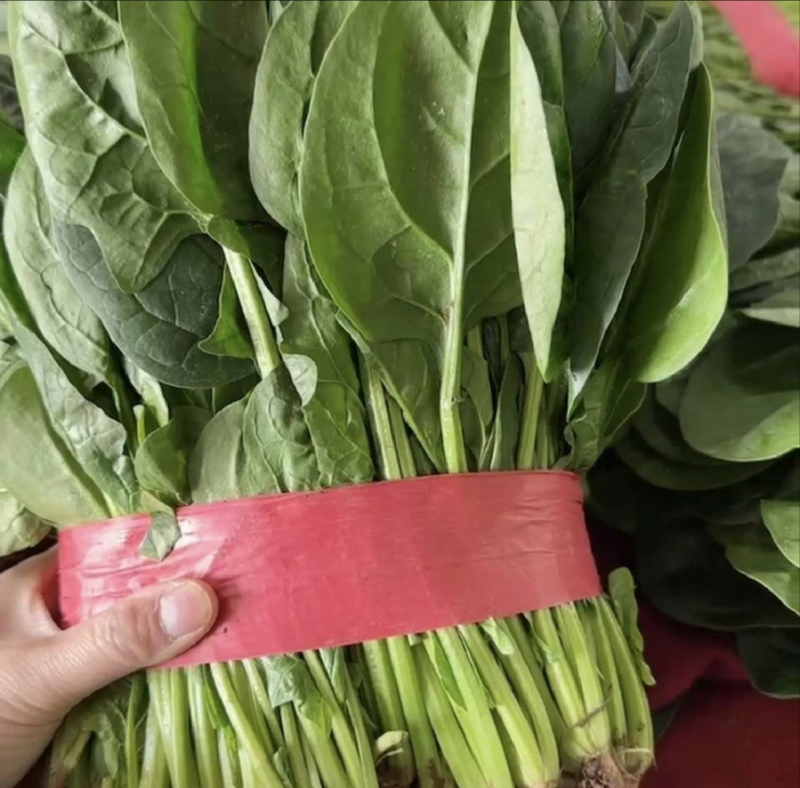 菠菜电商各平台代发产地现割现发专业代办保姆顾问