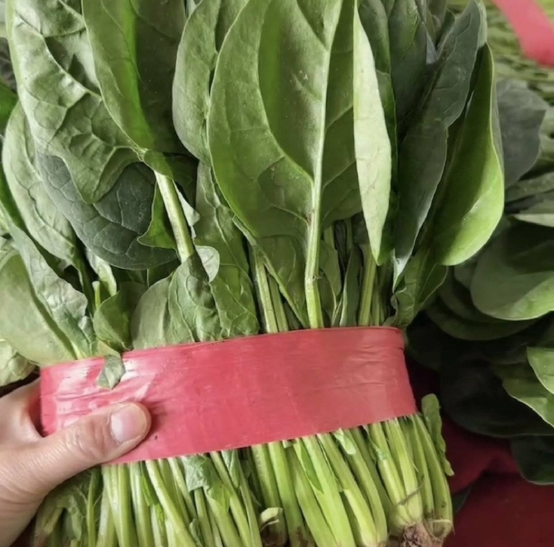 菠菜电商各平台代发产地现割现发专业代办保姆顾问
