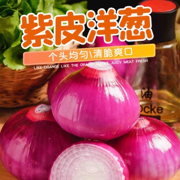 洋葱/精品洋葱/紫皮洋葱/品种齐全/全国发货代办