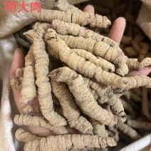 巴戟天生晒抽芯无硫熏紫肉巴戟天德庆产地直销鸡肠凤
