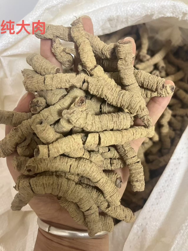 巴戟天生晒抽芯无硫熏紫肉巴戟天德庆产地直销鸡肠凤