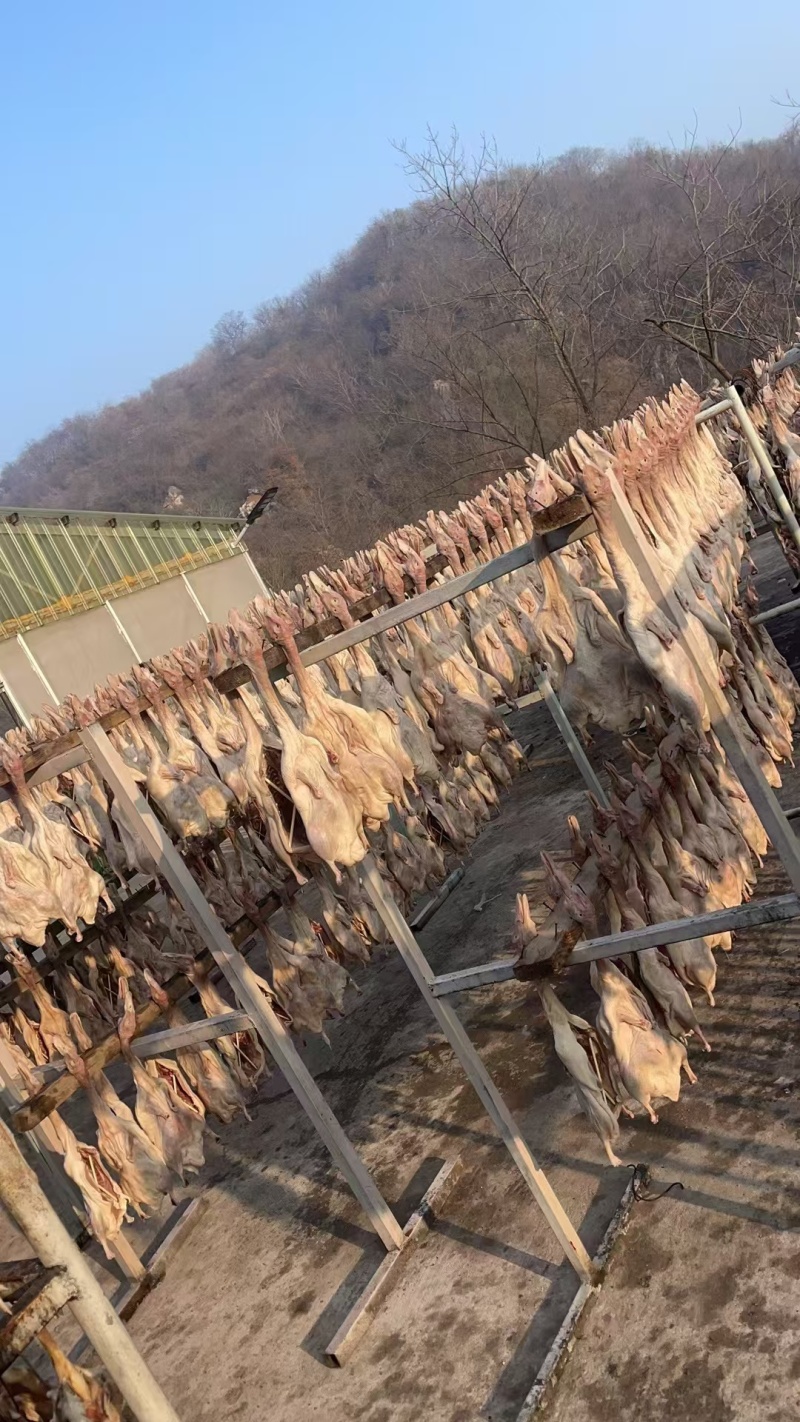 咸鸭腿江苏镇江熟食品质保证