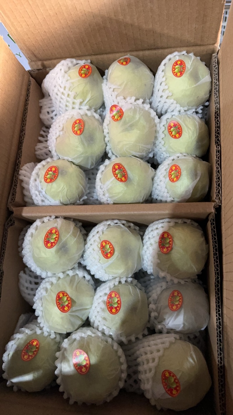 库尔勒香梨一斤级2级特级大量有货需要的可以联系我