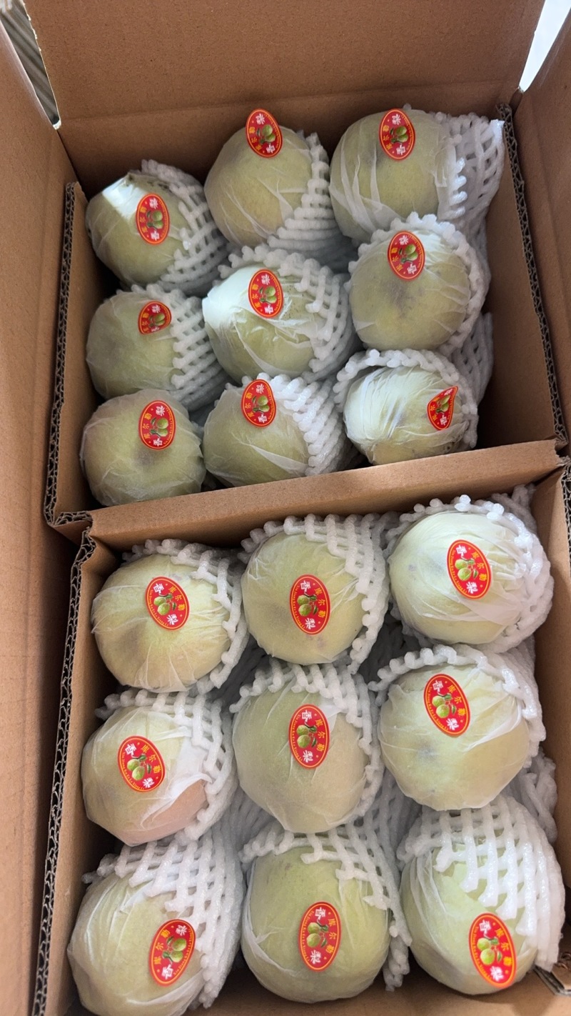 库尔勒香梨一斤级2级特级大量有货需要的可以联系我