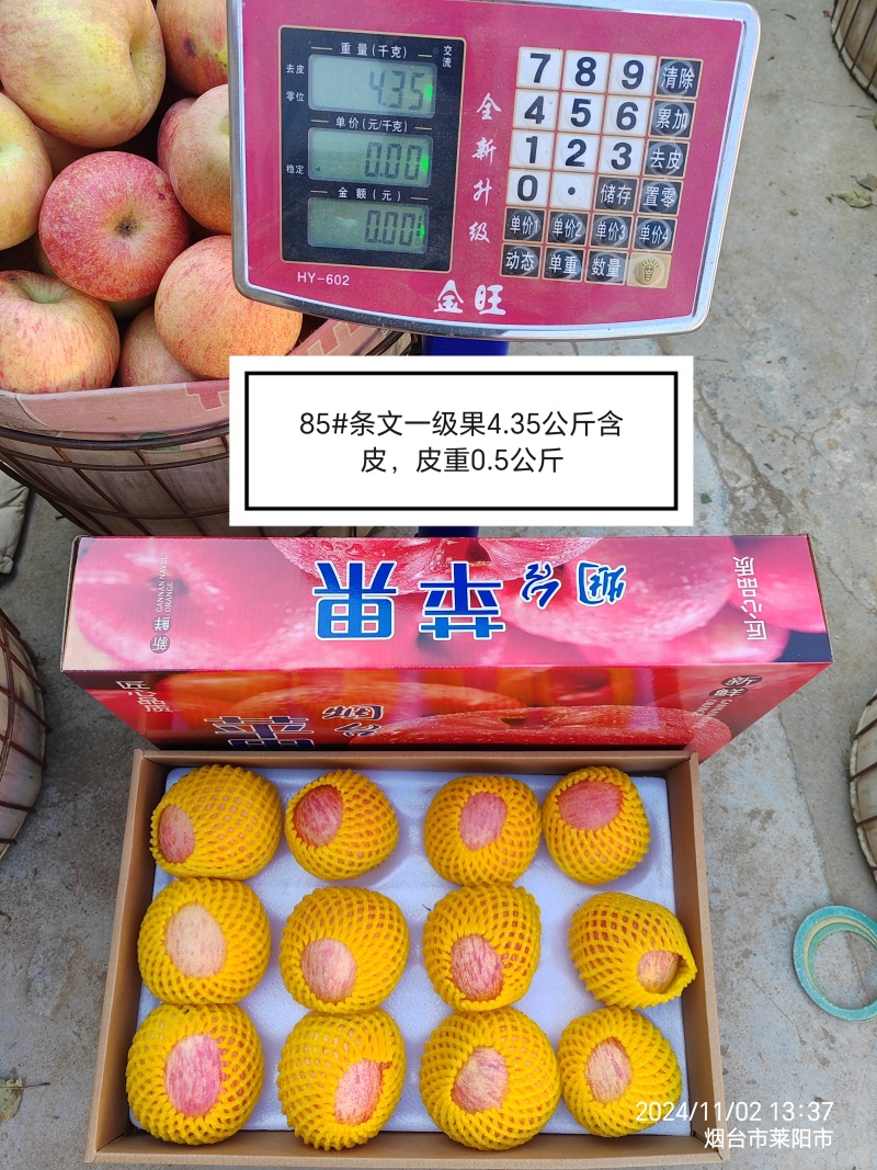 85条纹精品红富士苹果