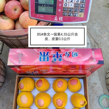 85条纹精品红富士苹果