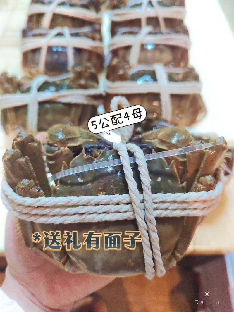 大闸蟹产地直销一手货源没有中间商赚差价