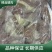 山东临沂太合优质鸡腿肉条工厂直发品种保证