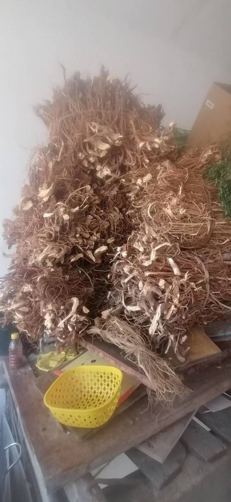 五指毛桃，野生五指毛桃纯根，自然晒干包邮出售！