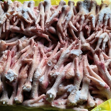 肉食鸡