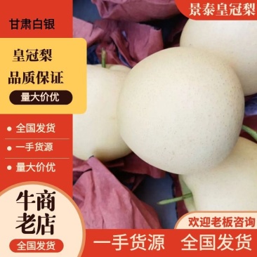 景泰皇冠梨,口感香甜,果面干净供应市场商超电商