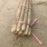 山西精品铁棍山药大量供应一手货源品质保证全国发货