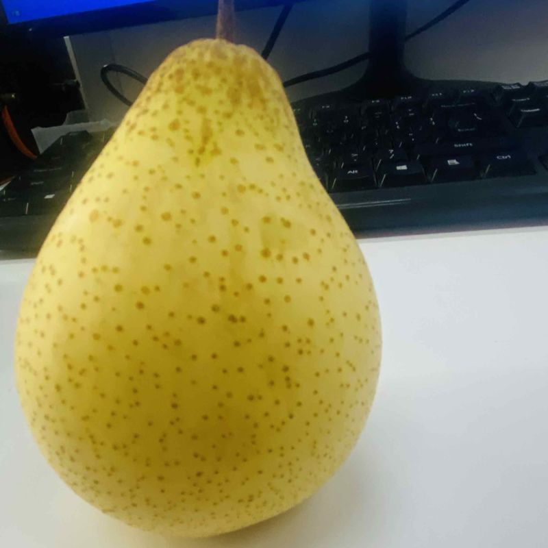 自家鸭梨
