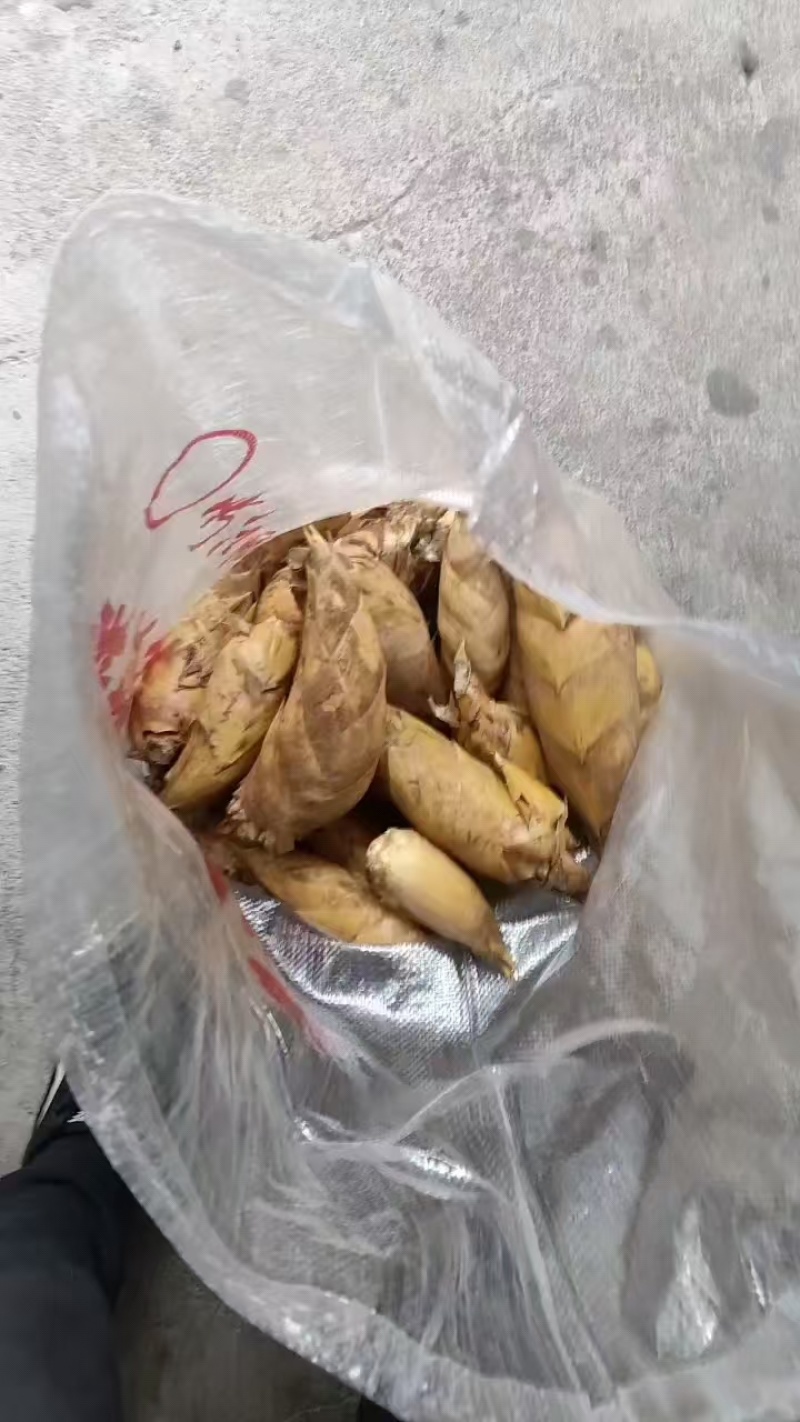 【大量供应】冬笋全国发货量大从优可视频看货