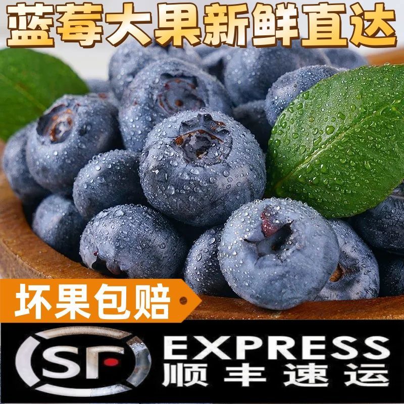 【顺丰包邮】蓝莓新鲜特级蓝莓应季水果现摘孕妇宝宝