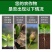河南腐殖酸有机肥料