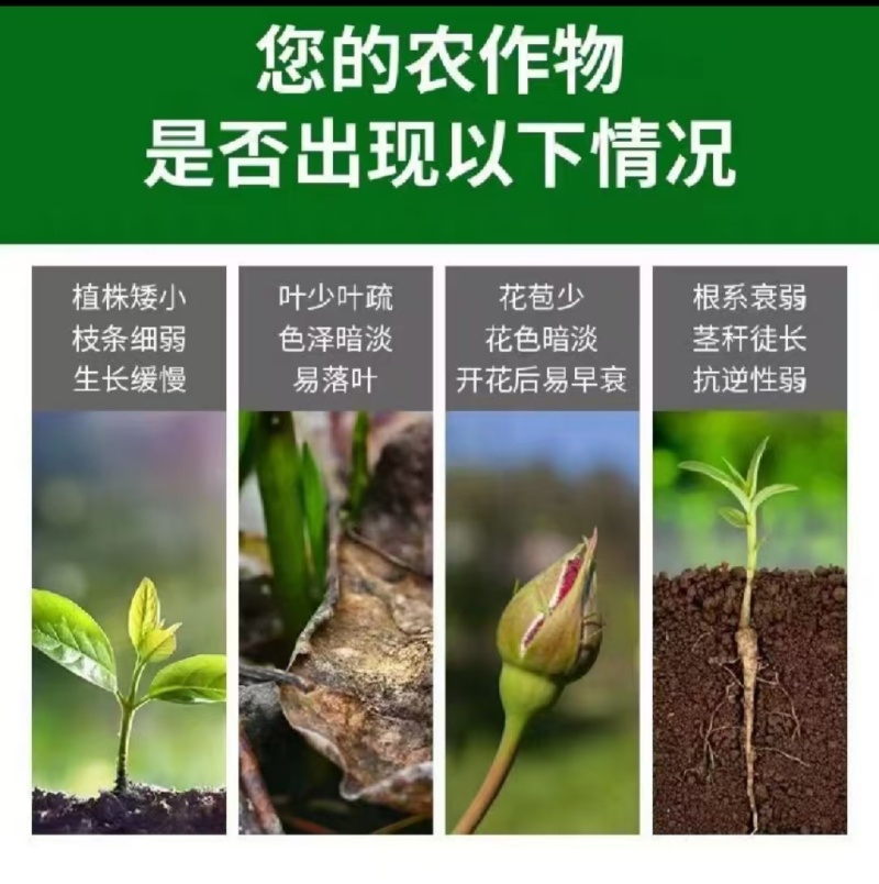 河南腐殖酸有机肥料