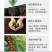 河南腐殖酸有机肥料