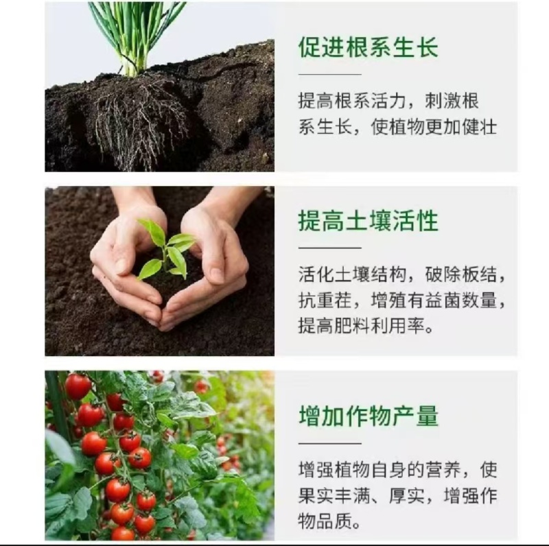 河南腐殖酸有机肥料