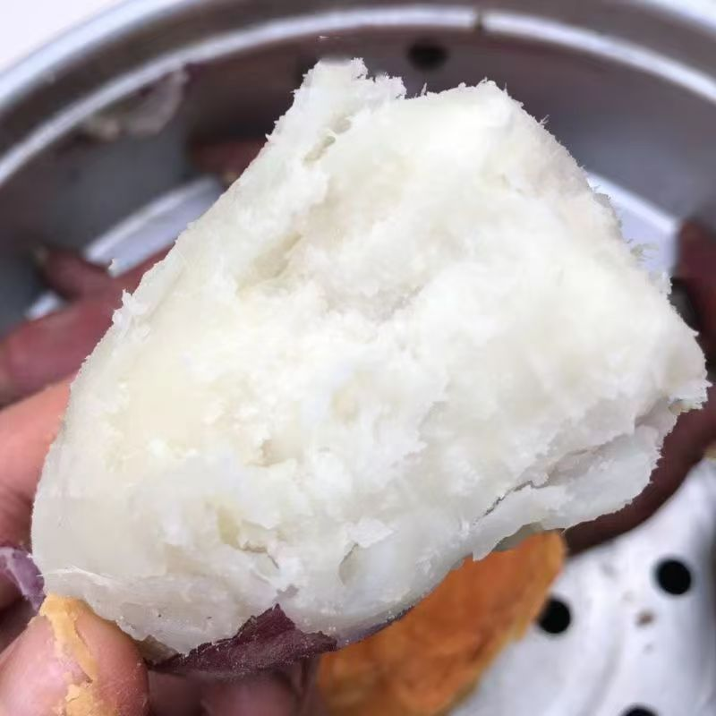 板栗薯河北板栗红薯产地直发口感香甜对接电商市场等