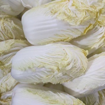 大娃娃菜，精品