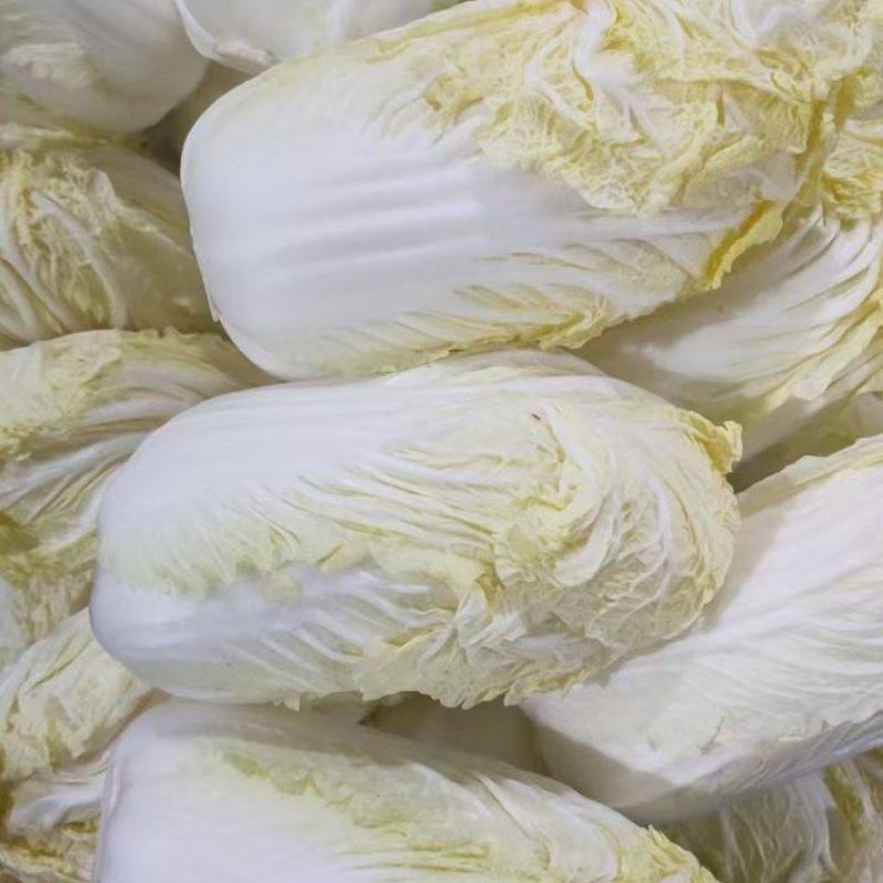 大娃娃菜，精品