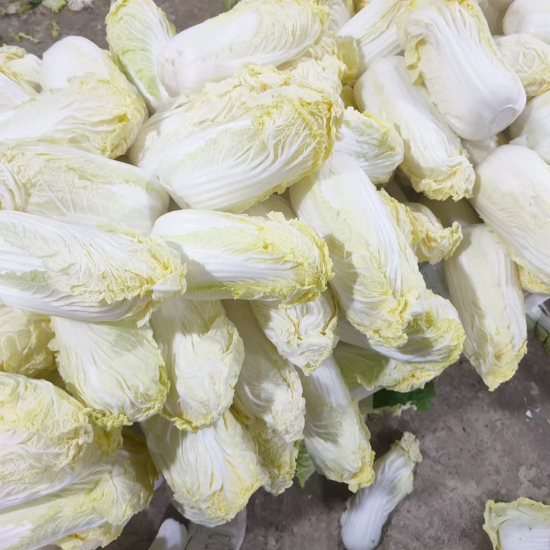 大娃娃菜，精品