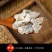 中药材生牡蛎包邮生蚝壳牡蛎壳牡蛎块多规格非煅牡