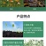 韩琉原装进口特种肥高浓度生物硫肥提高氮磷钾肥效