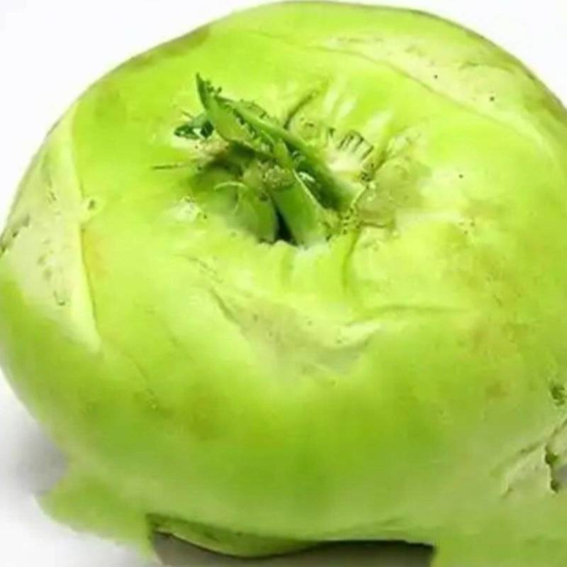 大量苤蓝现货
