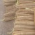 【精品】河北山药小白嘴白山药箱货30-70公分白嘴山药批发