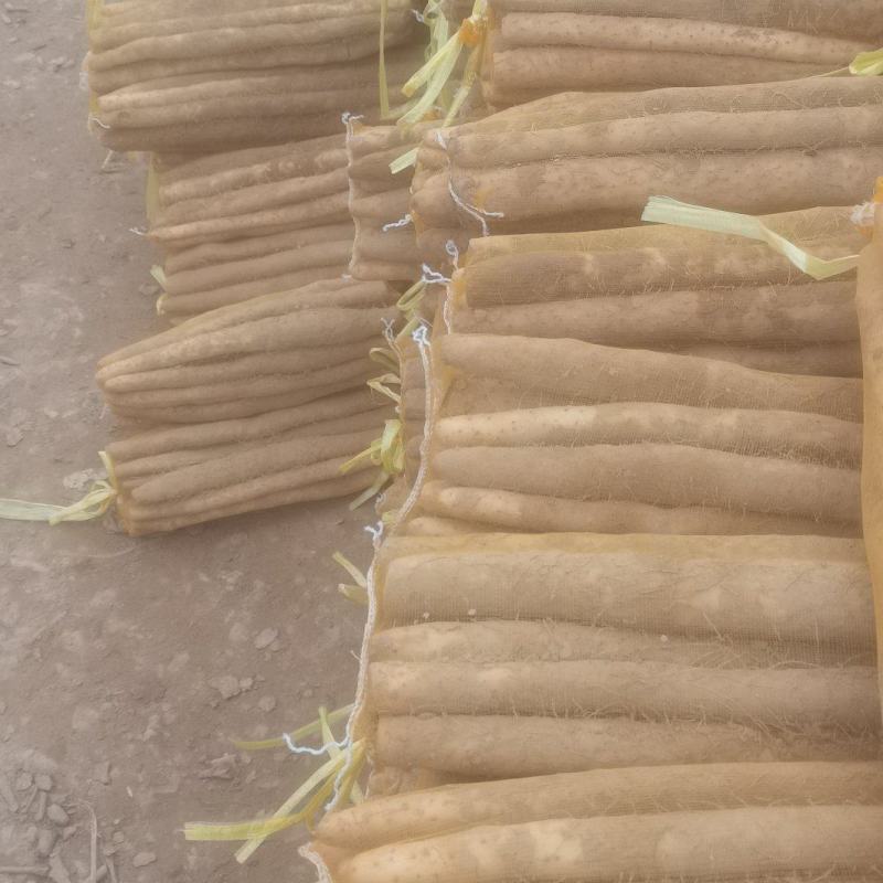 【精品】河北山药小白嘴白山药箱货30-70公分白嘴山药批发