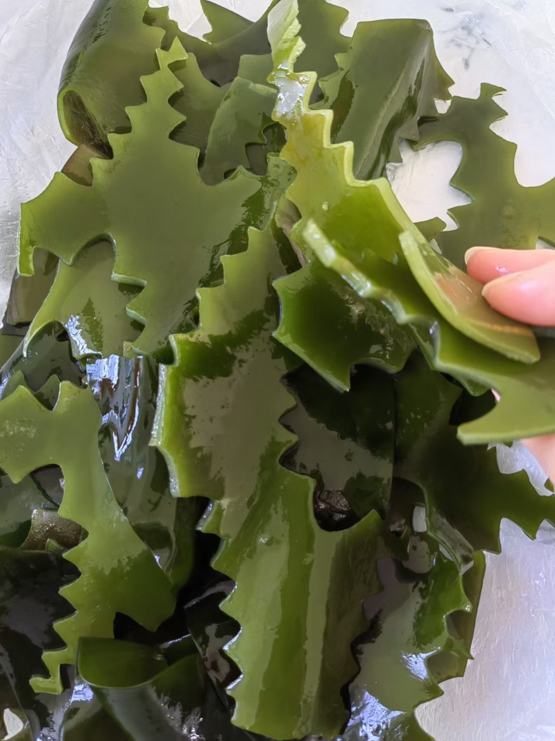 半干小海带头：海带小肉头，火锅专用炖菜厚头，1:2.5泡