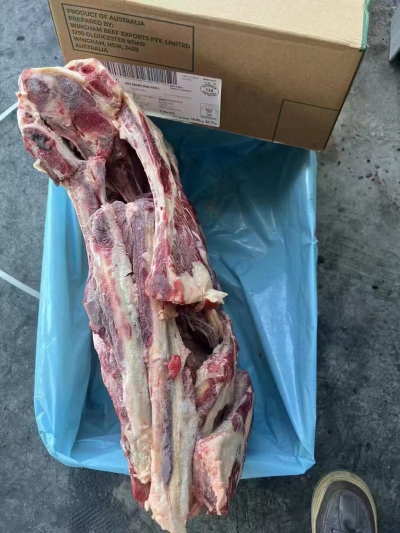 牛后胸骨